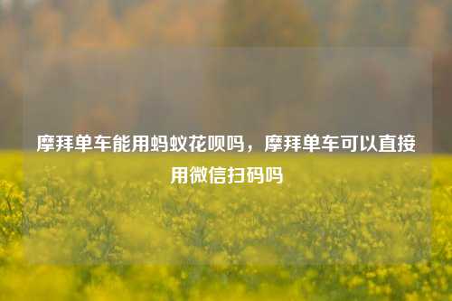 摩拜单车能用蚂蚁花呗吗，摩拜单车可以直接用微信扫码吗