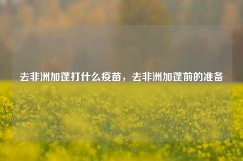 去非洲加蓬打什么疫苗，去非洲加蓬前的准备