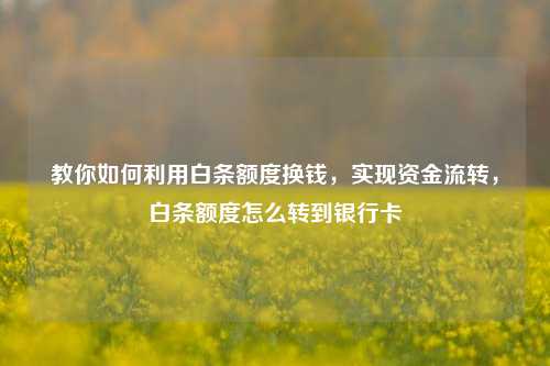 教你如何利用白条额度换钱，实现资金流转，白条额度怎么转到银行卡