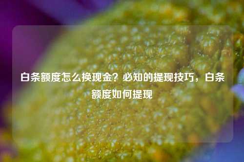 白条额度怎么换现金？必知的提现技巧，白条额度如何提现