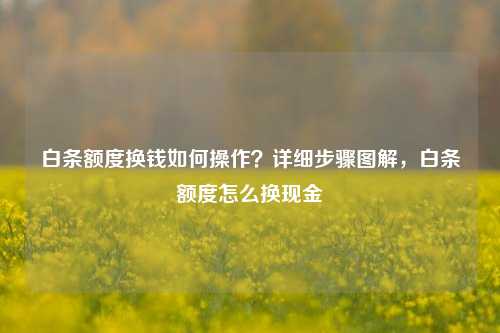 白条额度换钱如何操作？详细步骤图解，白条额度怎么换现金