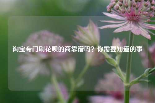 淘宝专门刷花呗的商靠谱吗？你需要知道的事