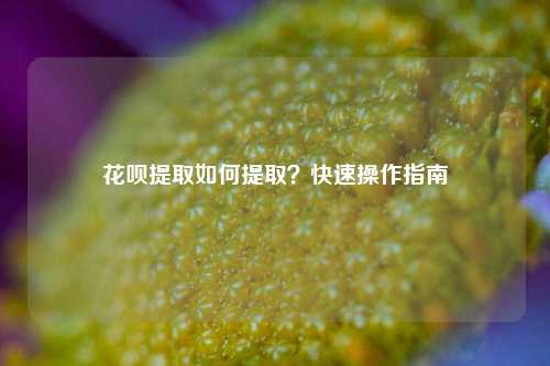 花呗提取如何提取？快速操作指南