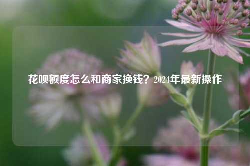 花呗额度怎么和商家换钱？2024年最新操作