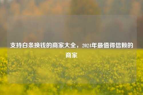 支持白条换钱的商家大全，2024年最值得信赖的商家