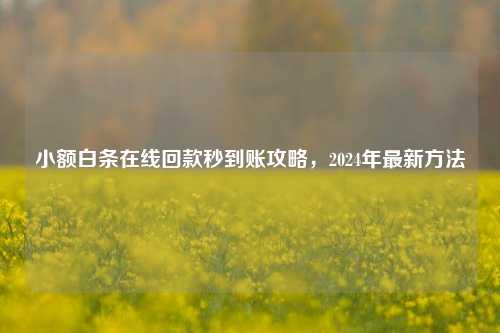 小额白条在线回款秒到账攻略，2024年最新方法