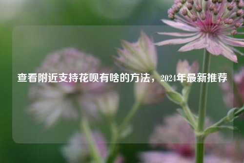 查看附近支持花呗有啥的方法，2024年最新推荐