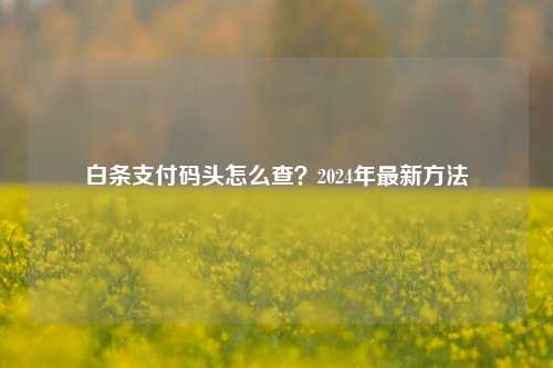 白条支付码头怎么查？2024年最新方法