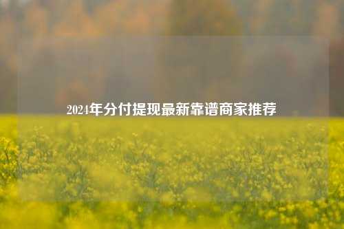 2024年分付提现最新靠谱商家推荐