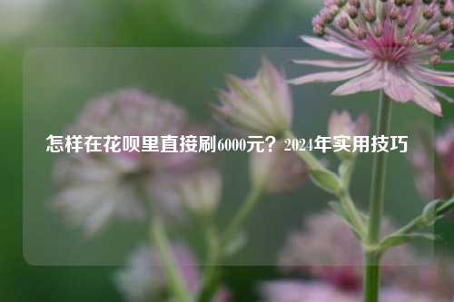 怎样在花呗里直接刷6000元？2024年实用技巧