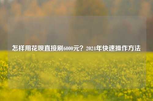 怎样用花呗直接刷6000元？2024年快速操作方法