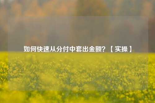 如何快速从分付中套出金额？【实操】