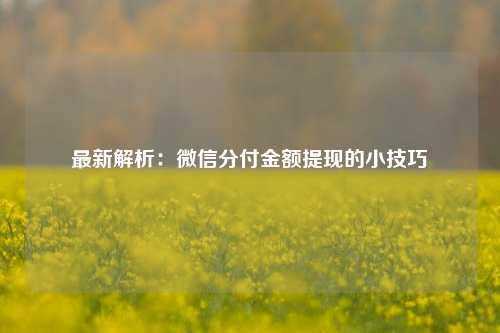 最新解析：微信分付金额提现的小技巧