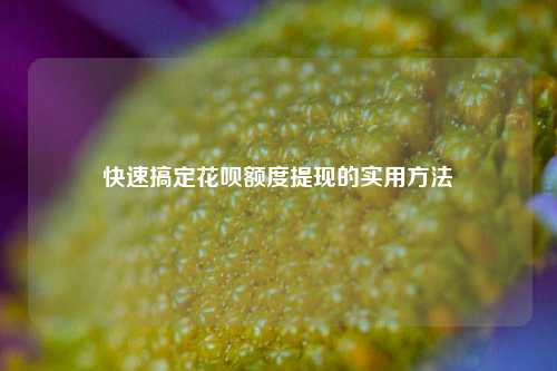 快速搞定花呗额度提现的实用方法