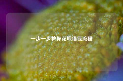 一步一步教你花呗借钱流程