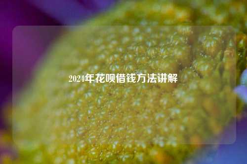 2024年花呗借钱方法讲解