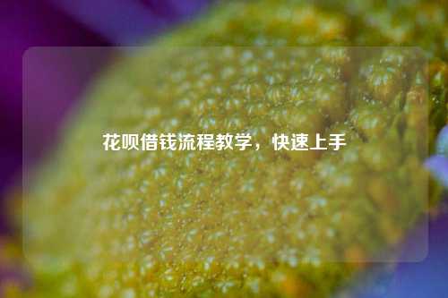 花呗借钱流程教学，快速上手