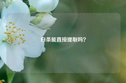 白条能直接提取吗？