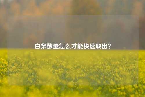 白条数量怎么才能快速取出？