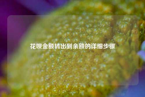 花呗金额转出到余额的详细步骤