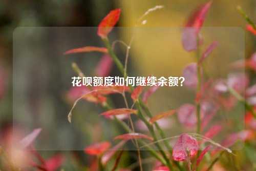 花呗额度如何继续余额？