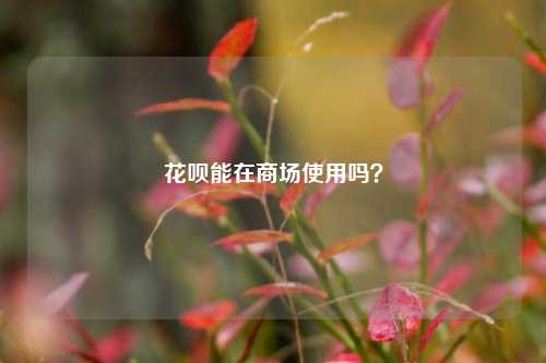 花呗能在商场使用吗？