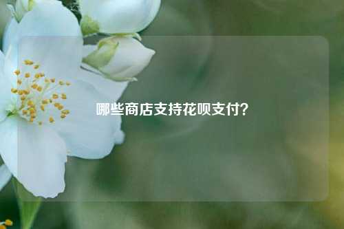 哪些商店支持花呗支付？