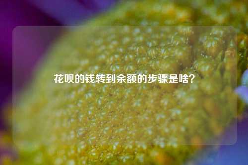 花呗的钱转到余额的步骤是啥？