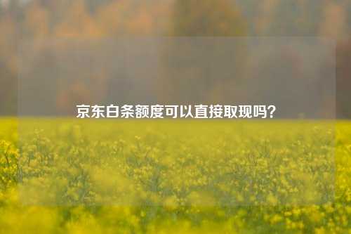 京东白条额度可以直接取现吗？