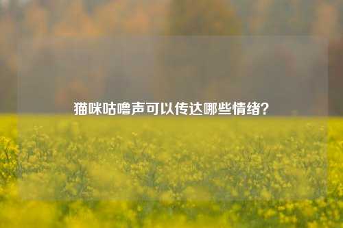 猫咪咕噜声可以传达哪些情绪？