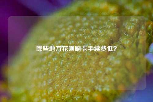 哪些地方花呗刷卡手续费低？