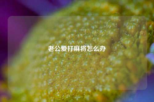 老公爱打麻将怎么办