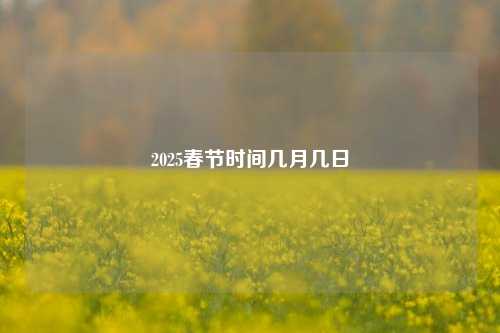 2025春节时间几月几日