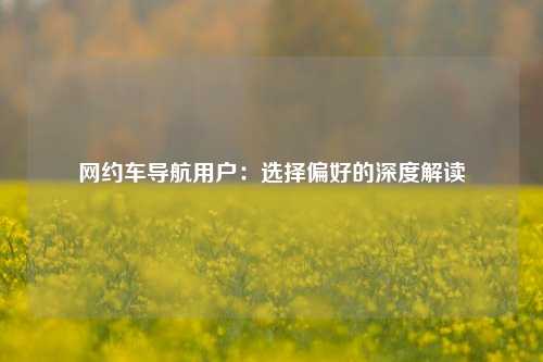 网约车导航用户：选择偏好的深度解读