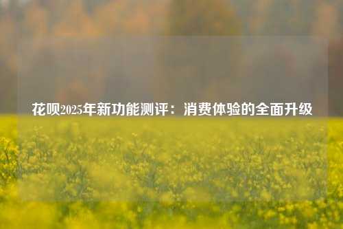 花呗2025年新功能测评：消费体验的全面升级