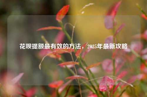 花呗提额最有效的方法，2025年最新攻略