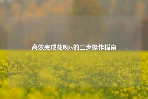 高效完成花呗tx的三步操作指南