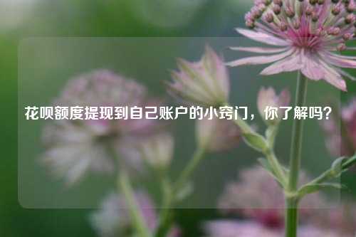 花呗额度提现到自己账户的小窍门，你了解吗？