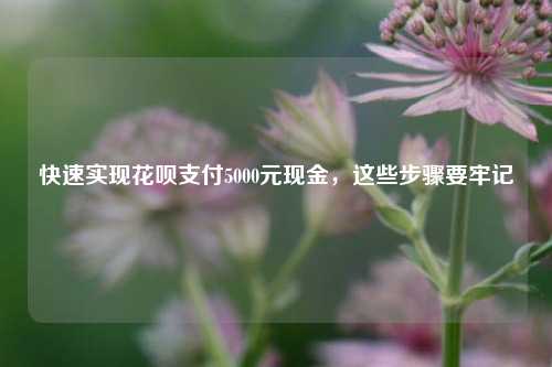 快速实现花呗支付5000元现金，这些步骤要牢记