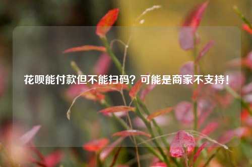 花呗能付款但不能扫码？可能是商家不支持！