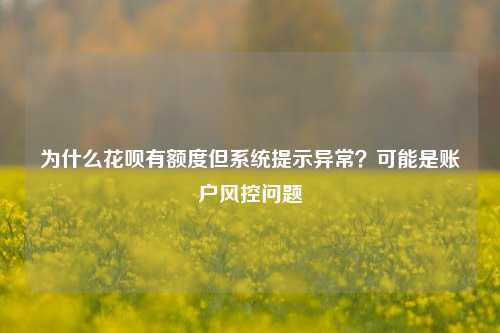 为什么花呗有额度但系统提示异常？可能是账户风控问题