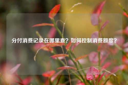 分付消费记录在哪里查？如何控制消费额度？