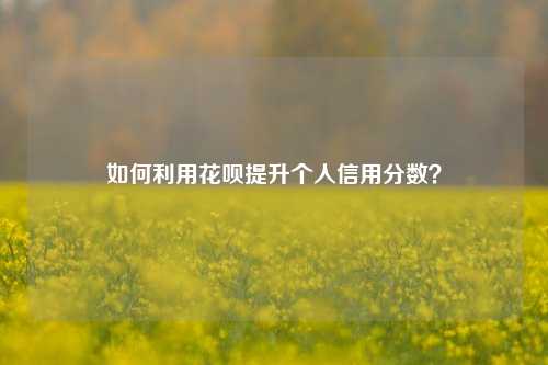 如何利用花呗提升个人信用分数？