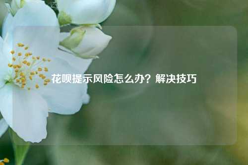 花呗提示风险怎么办？解决技巧