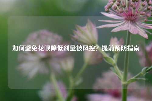 如何避免花呗降低剂量被风控？提前预防指南