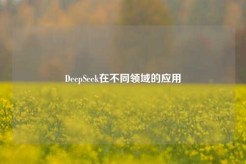 DeepSeek在不同领域的应用